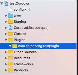 基于Cordova開發(fā)iOS應(yīng)用 插件開發(fā)與應(yīng)用軟件構(gòu)建全攻略